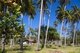 Thailand: Coconut plantation, Hat Na Dan, Nakhon Si Thammarat Province